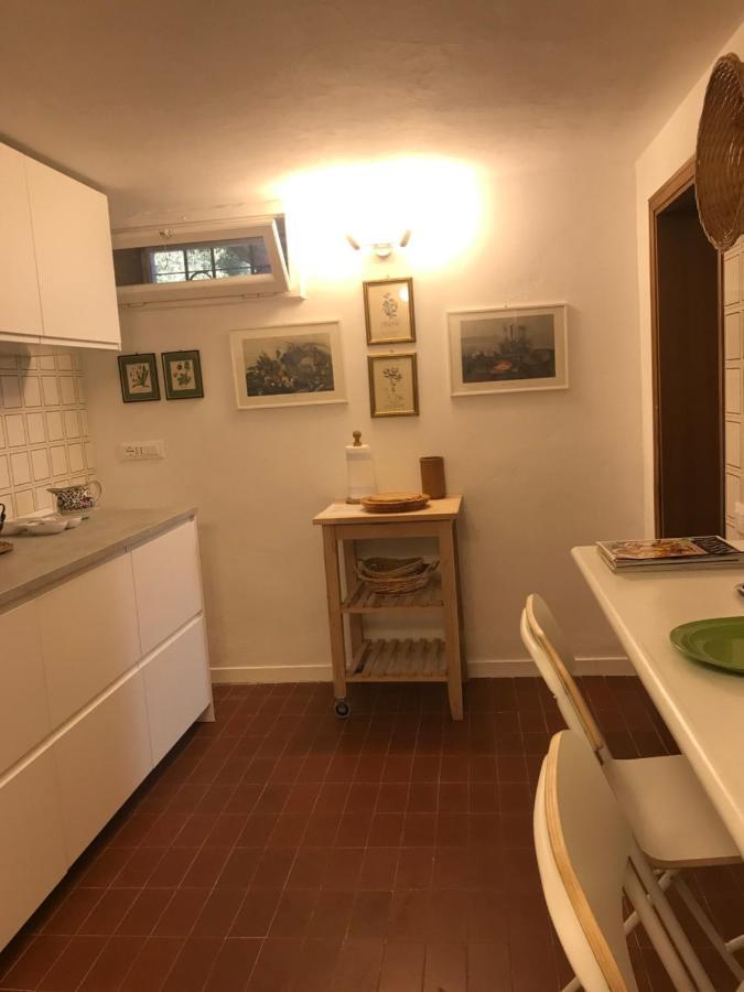 Campo Al Cerro Apartment Bolgheri Exterior photo