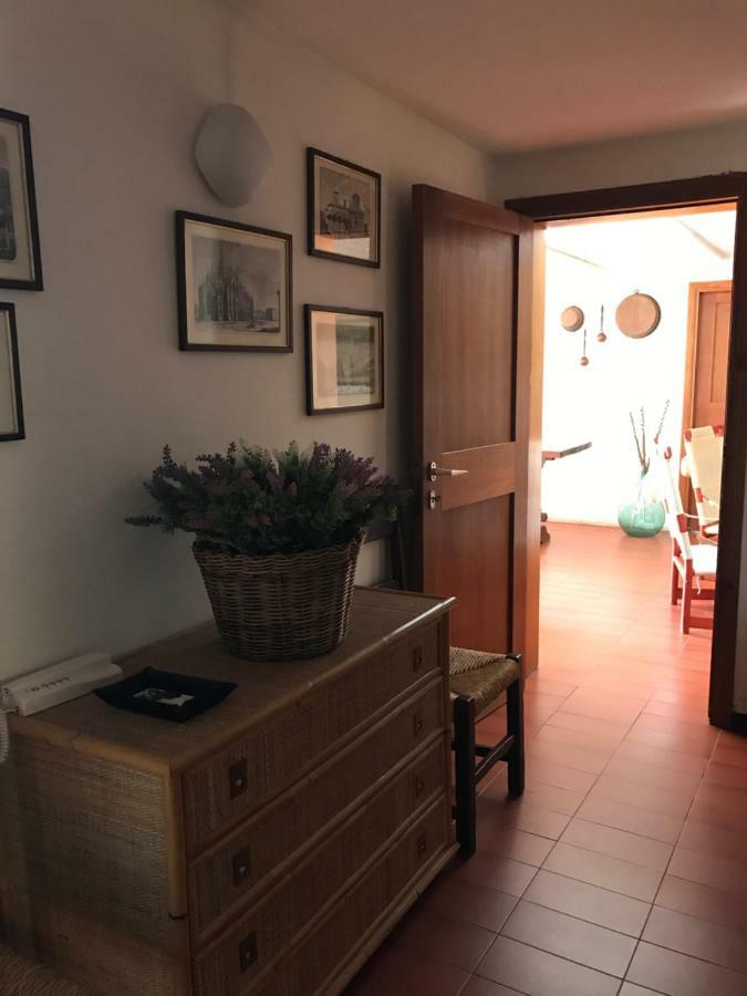 Campo Al Cerro Apartment Bolgheri Exterior photo