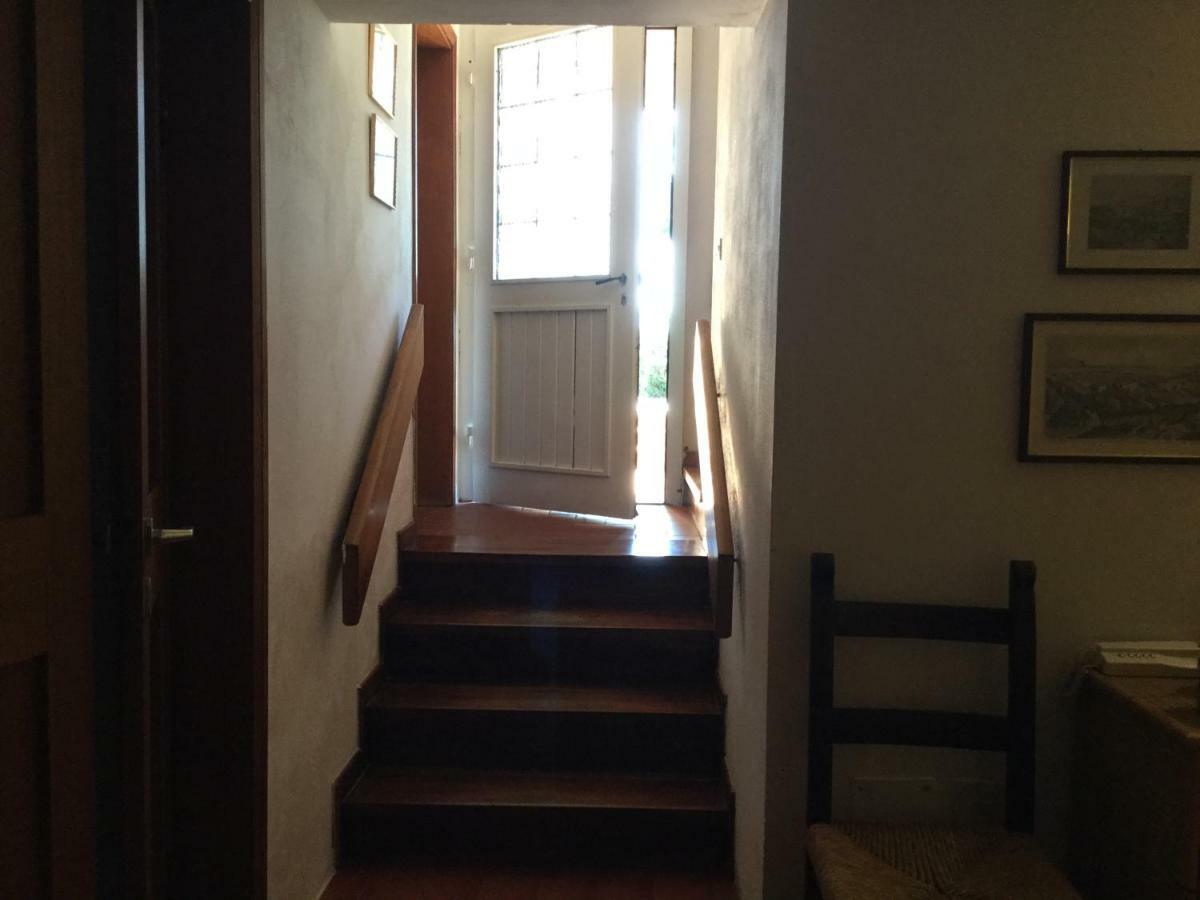 Campo Al Cerro Apartment Bolgheri Exterior photo