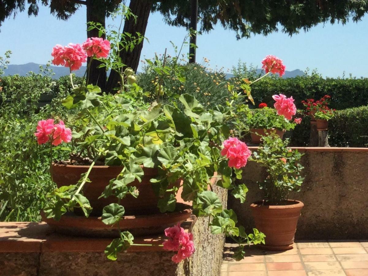 Campo Al Cerro Apartment Bolgheri Exterior photo
