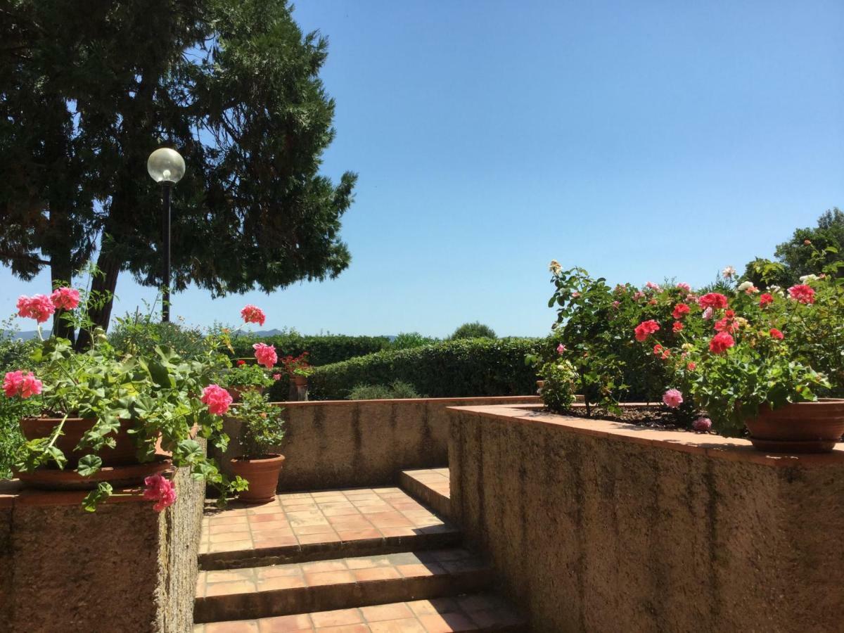 Campo Al Cerro Apartment Bolgheri Exterior photo